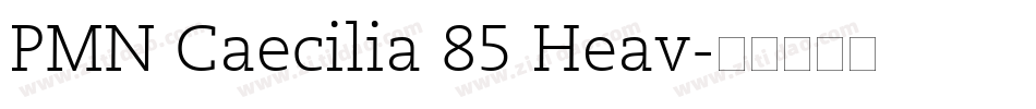 PMN Caecilia 85 Heav字体转换